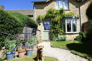 Summer in Puffitts Cottage garden 