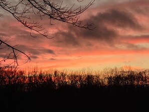 Oklassificerad bild, 2 av 22, knapp