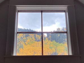 Vaulted ceiling window