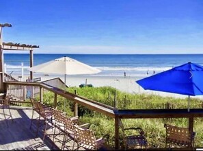 DIRECT OCEANFRONT Wet Whistle Bar ROYALE👑Treatment! Music, Food, Drinks & Views