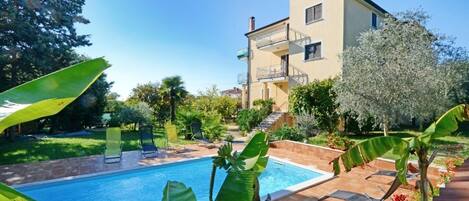 The family house with beautiful outdoor swimming pool and sun loungers available