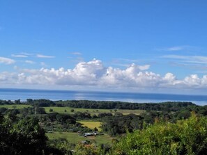 Panoramic ocean view