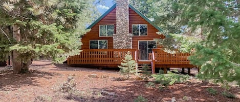 Front View of the secluded cabin from the main driveway 