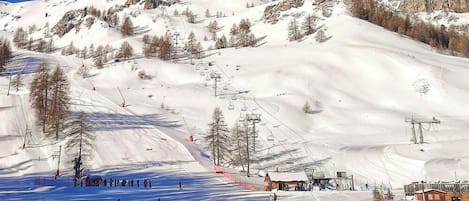 Sneeuw- en skisporten