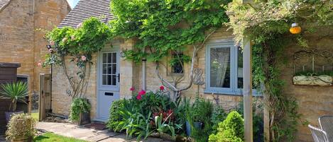 Roses by the door