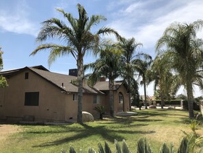 This is the front yard