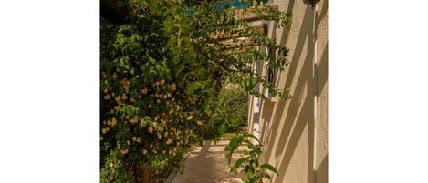 Water, Sky, Plant, Swimming Pool, Tree, Arecales, Shade, Urban Design, Leisure, Grass