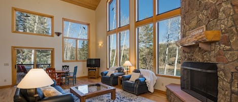 Main Living Space - Views of Columbine Lake, TV and Wood Burning Fireplace
