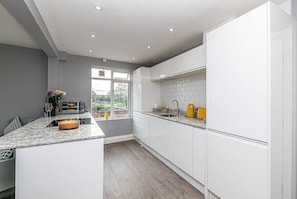 Modern kitchen with all of the essentials