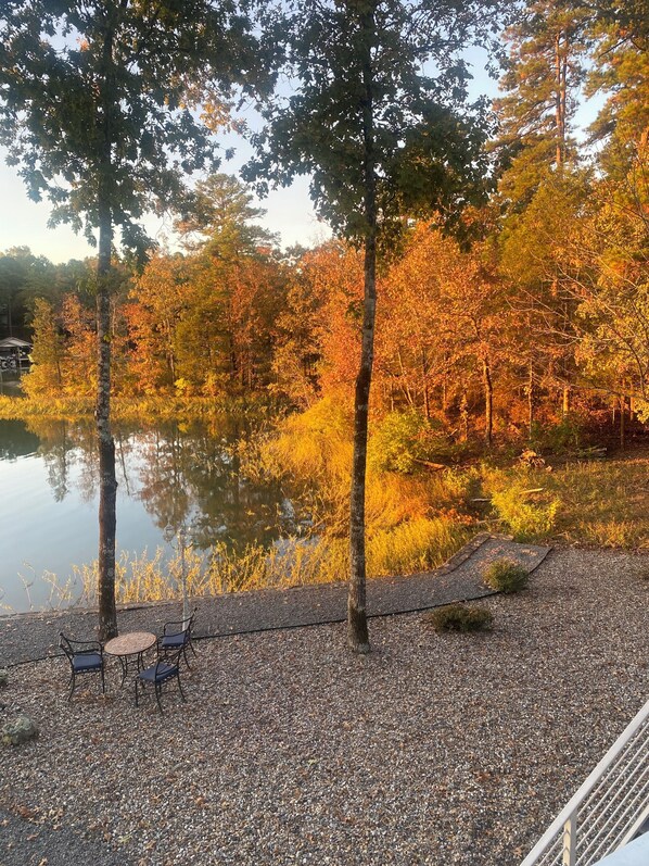 enjoy fall colors