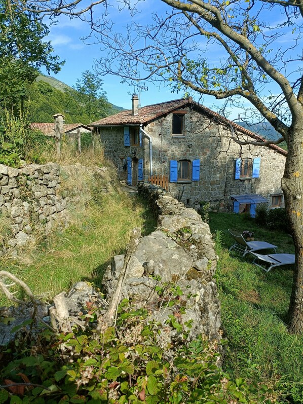Exteriör
