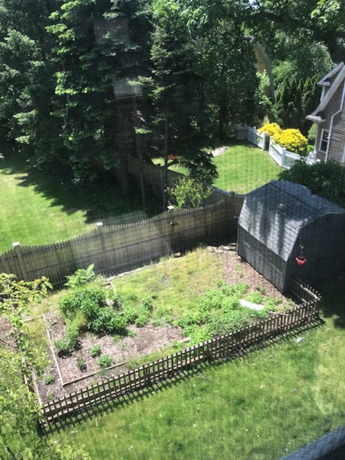 Peaceful, Sunny, Convenient Downtown Greenwich