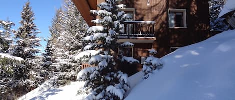 La chalet Antonin et son jardin