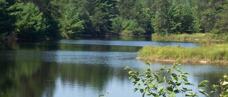 Terrain de l’hébergement 