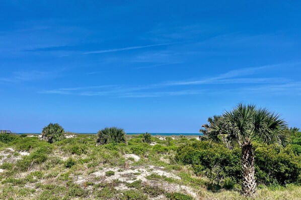 oceanfront view from patio