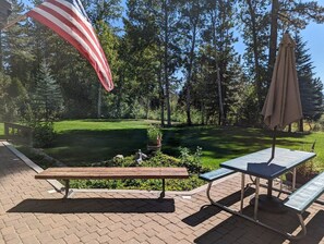 backyard 2