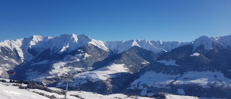 Sneeuw- en skisporten