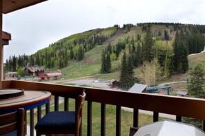 Awesome summer views of the main ski base area