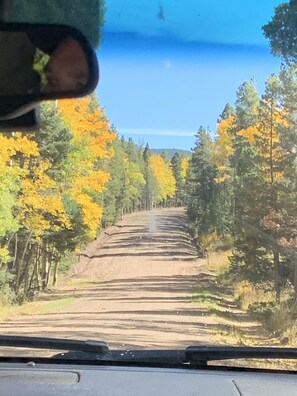 Enjoy a midday drive to take in the scenery. 