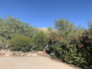 This property is very close to the Catalina mountains. 