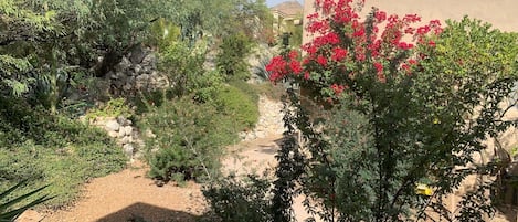 View out the front window, pleasant flowers and trees.