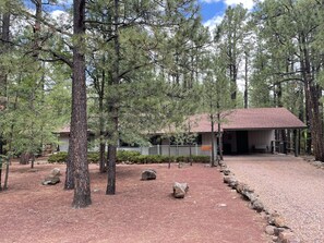 Surrounded by large pine trees!