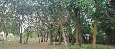 Parco della struttura