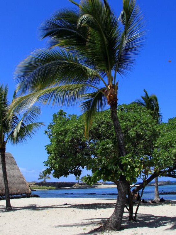 Kaloko-Honokohau National Historical Park