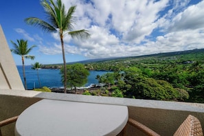 Amazing scenery, enjoy breathtaking views of the ocean right from your balcony!