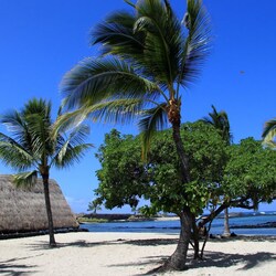 Kaloko-Honokohau National Historical Park