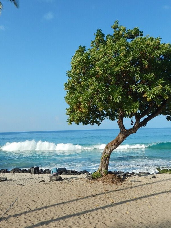 Keauhou Bay