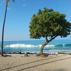 Keauhou Bay