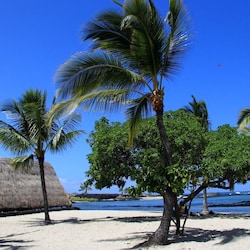 Kaloko-Honokohau National Historical Park