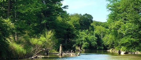 Come relax on the Guadalupe River! Take a short walk on the property (or drive) to access your private section of the beautiful waters of the Guadalupe! Bring your cooler and camping chairs and stay cool for the day.