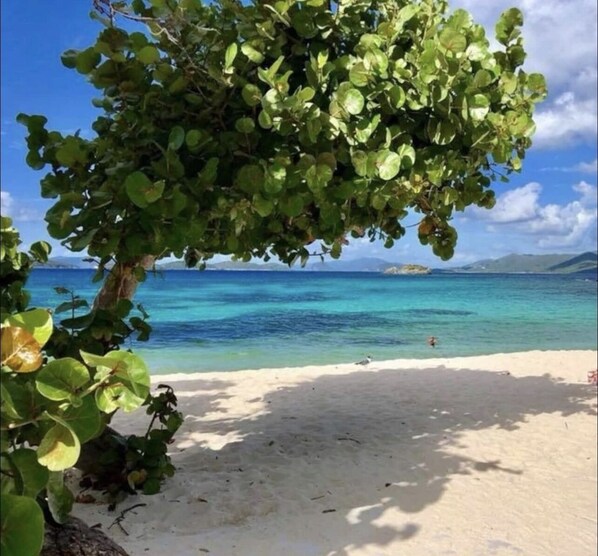 Shade or Sun on the beach
