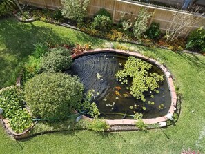 Our Koi pond located on the west side of the property