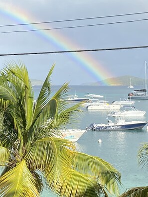 Your View from the Balcony.