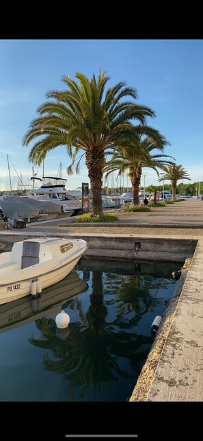 Marina