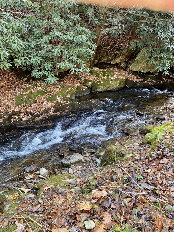 native trout stream right out front