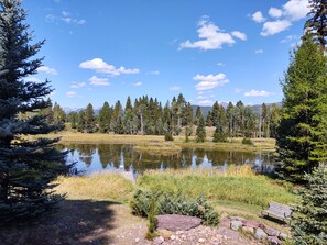 Private pond with Swan mountains in the distance