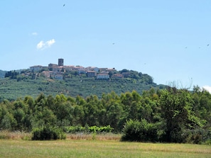 Vegetation, Himmel, Natürliche Landschaft, Hügel, Grundstueck, Baum, Gras, Graspflanze, Wiese, Ländliches Gebiet