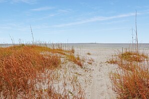 Beach Path