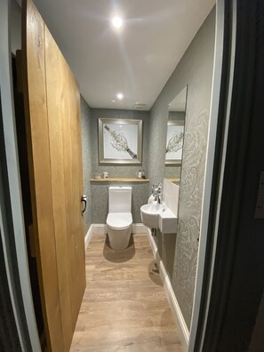 downstairs wc