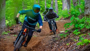 Stratton MNT bike park features 10+ miles of downhill trails.  Rentals available
