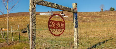 Welcome to West Jefferson NC Lantern Farm!