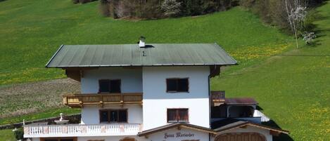 Pflanze, Gebäude, Eigentum, Fenster, Baum, Grundstueck, Haus, Hütte, Natürliche Landschaft, Ländliches Gebiet