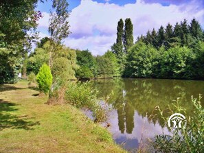 Étang privé de 5100 m² à 750 mètres du gîte : Carpes, gardons, perches. Local pêche au gîte avec petit réfrigérateur - H53G010756 - Chez l'Ami - La Selle-Craonnaise - 6 personnes – Gîtes de France Mayenne