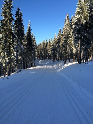Skidåkning och snöaktiviteter