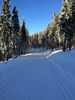 Wintersport/Ski