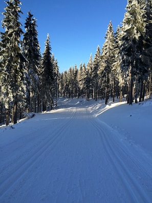 Snow and ski sports